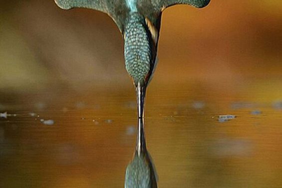 fotografia-perfecta