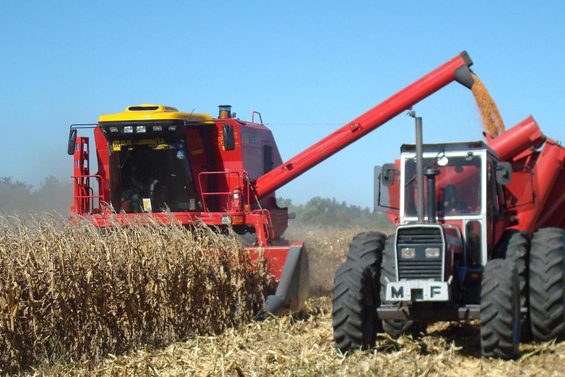 agricultura