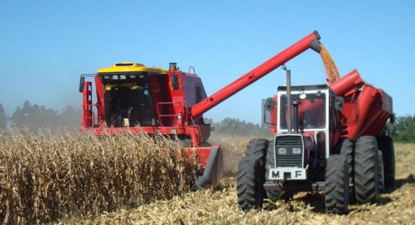 agricultura