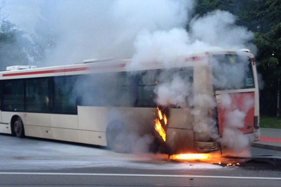 autobuz5