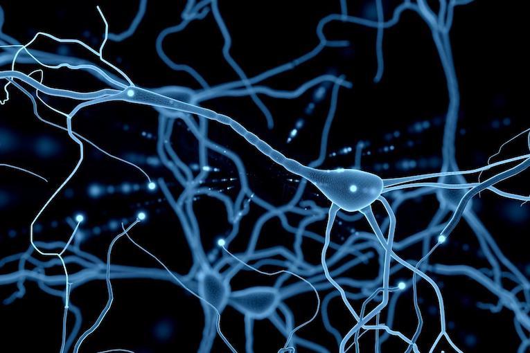 neuroni