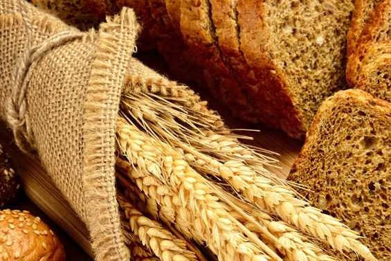 gluten