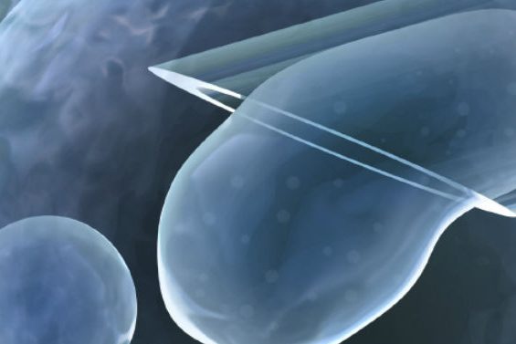 bioetica