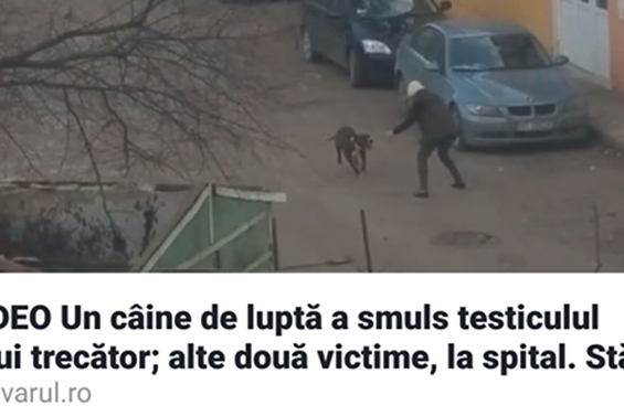 ionut-benea-2