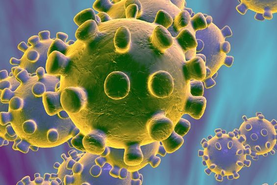 coronavirus