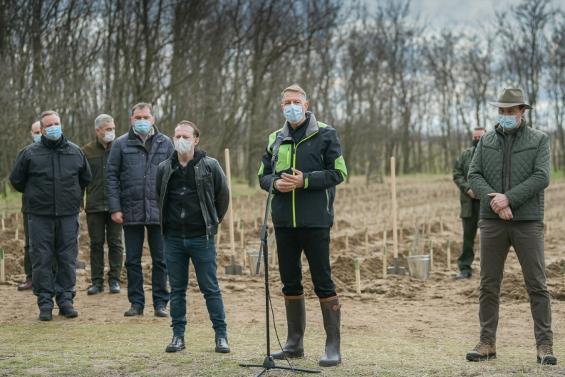 Iohannis-tinuta