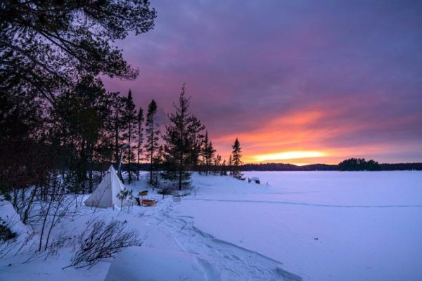 iarna
