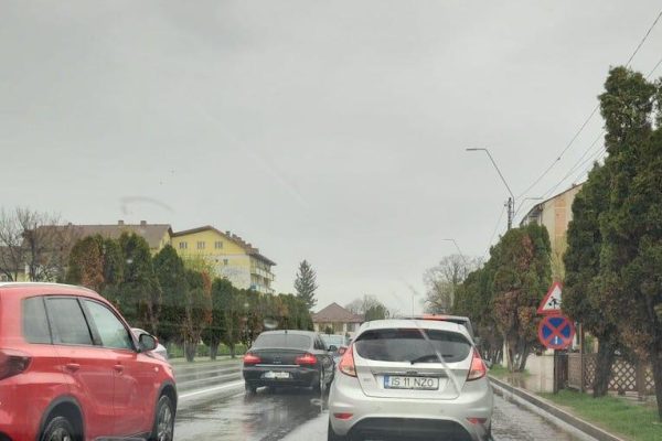 coada-podu-iloaiei