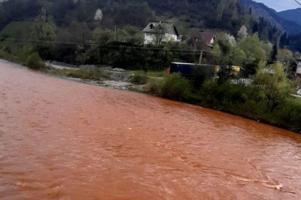 poluare-Bistrita