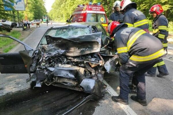 accident-Paltinis