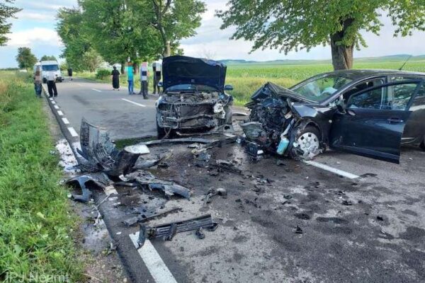 accident-Pastraveni