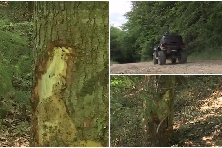 atv-accident