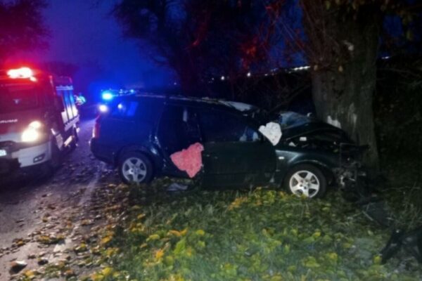 accident-Timis