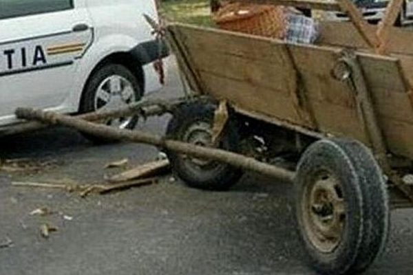 accident-caruta