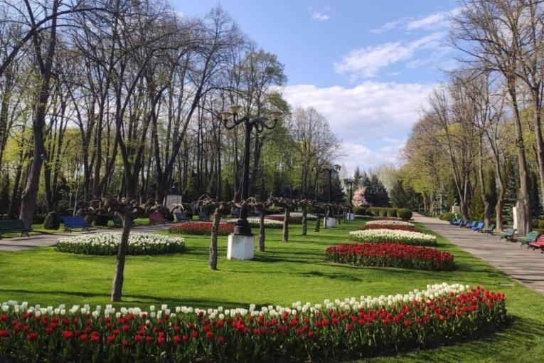 Vaslui