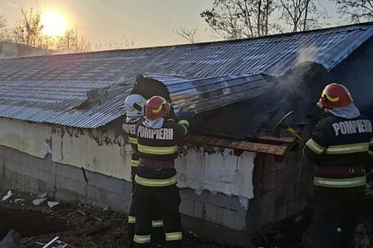 incendiu-ferma-porci