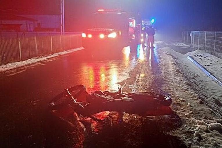accident-Zvoristea-moto