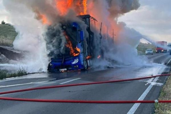 camion-flacari